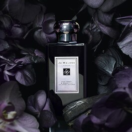 Dark Amber & Ginger Lily Cologne Intense