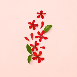 Gucci Bloom