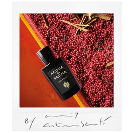 The product image is missing!