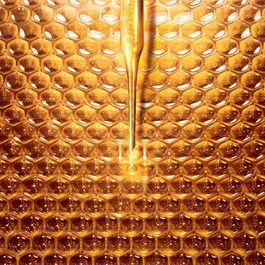 Abeille Royale - Mattifying Day Cream