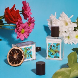 Patchouli Citrus - Eau de Parfum