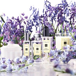 Wild bluebell  cologne