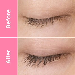 Lash & Brow Fantasy