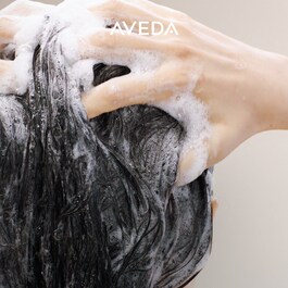 Scalp Solutions Balancing Shampoo