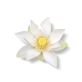 The Ritual of Karma - Body cream refill