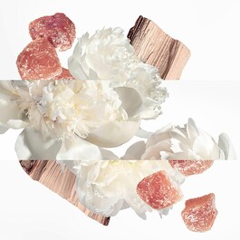Twilly Eau Ginger EDP