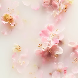 The Ritual of Sakura - Σετ S Σώμα & Μπάνιο