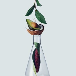 Botanical Repair™ - Strengthening Shampoo