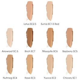 True Skin Serum Concealer