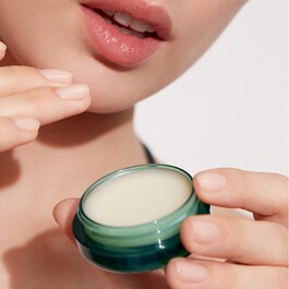 The Lip Balm