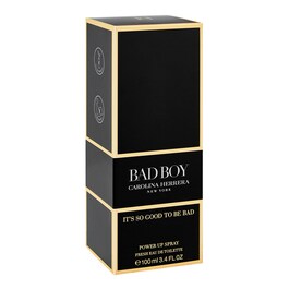 Bad Boy Power Spray  