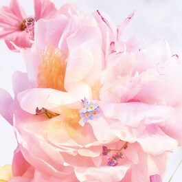 Miss Dior Blooming Bouquet Eau de Toilette - Fresh and Tender Notes