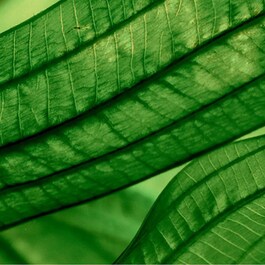 Aquasource Aura Concentrate 