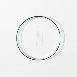 Anti-Pollution Primer