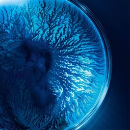 Life Plankton Essence-in-Mask