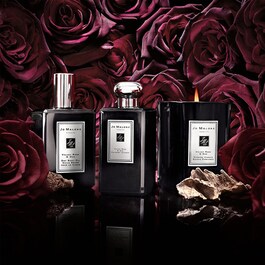 Velvet Rose & Oud - Cologne Intense
