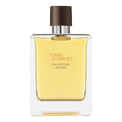 Terre d'Hermès Eau Intense Vétiver - Eau de parfum, Hermès