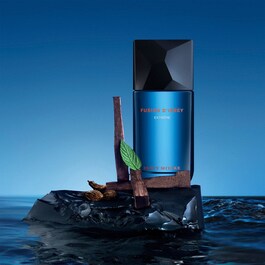 Fusion D'Issey - Eau de toilette intense