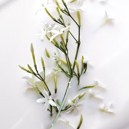J'adore - Lait Sublime