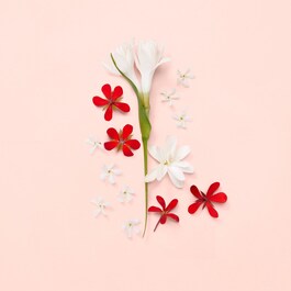 Bloom Eau De Toilette