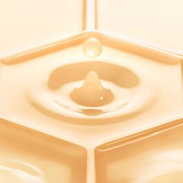 Abeille Royale Fortifying Lotion with Royal Jelly