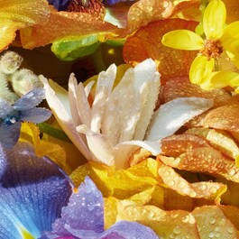 Aqua Allegoria - Florabloom Eau de Toilette