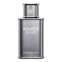 Kouros Silver EDT image
