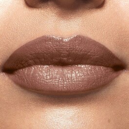 Color Riche - Shine Lipstick