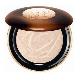 Teint Idole Ultra Wear - Highlighter image