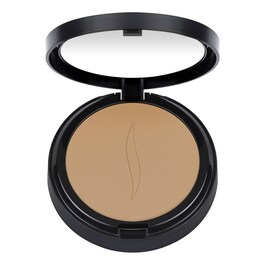 Matte perfection powder foundation Matte foundation