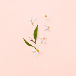Bloom Eau De Toilette