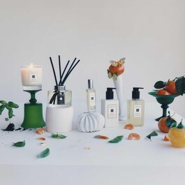 Lime Basil & Mandarin - Scented Candle