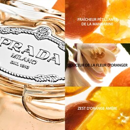 Les Infusions De Mandarine EDP