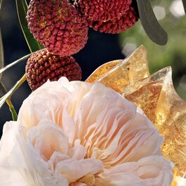 Chloè Eau de Parfum