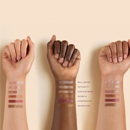 All of the Above Shadow Stick