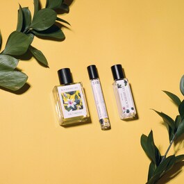 Blackberry Lily - Eau de Parfum