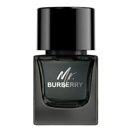 Mr Burberry