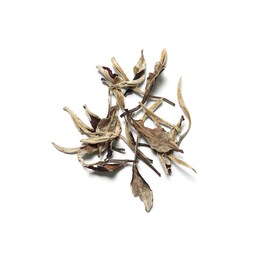 The Ritual of Karma Mini Fragrance Sticks