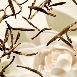 The Ritual of Karma Softening Body Scrub