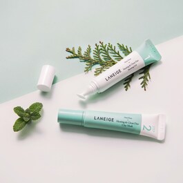 Mini Pore Heating & Clean Duo