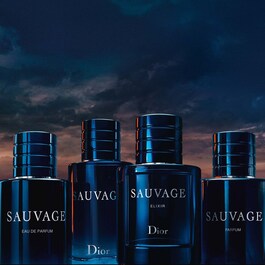 Sauvage After-Shave Lotion