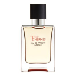 Terre d'Hermès – Eau de Parfum Intense                            Refill 200ml