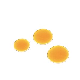 Rosehip Bioregenerate Mini Universal Face Oil