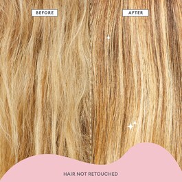 Don't Despair, Repair! - Strength + Repair Value Set for Dry + Damaged Hair set