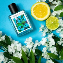 Patchouli Citrus - Eau de Parfum