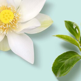 The Ritual of Karma Mini Fragrance Sticks