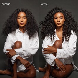 Shook - Curl Perfector