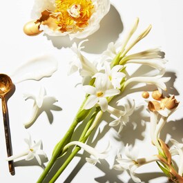 Three Part Harmony™ Soft Cream For Renewal, Repair and Radiance