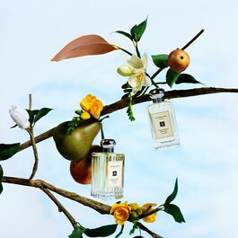 English Pear & Freesia - Scented Candle