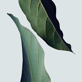 Botanical Repair™ strengthening  Leave-in Treatment - Travel Size